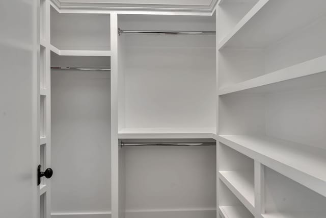 view of spacious closet