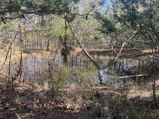 view of landscape with a water view