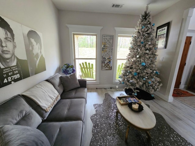 living room featuring hardwood / wood-style floors