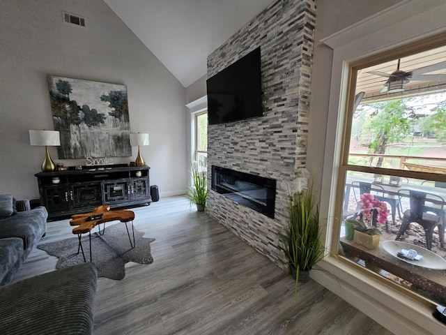 living room with a fireplace, hardwood / wood-style flooring, and a wealth of natural light