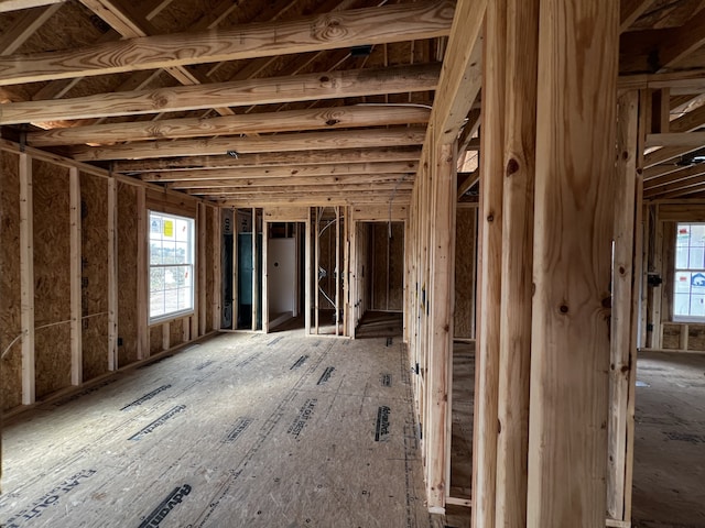 miscellaneous room with a wealth of natural light