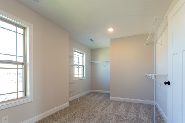 spacious closet featuring carpet