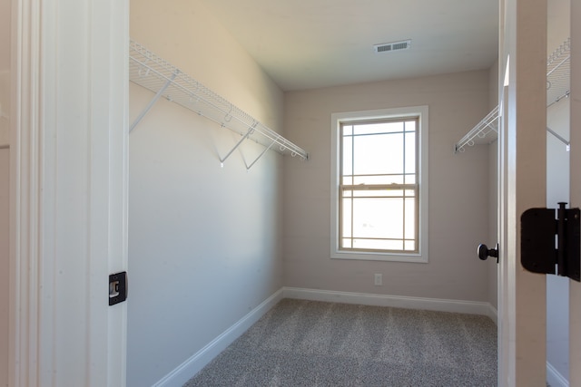 walk in closet featuring carpet floors