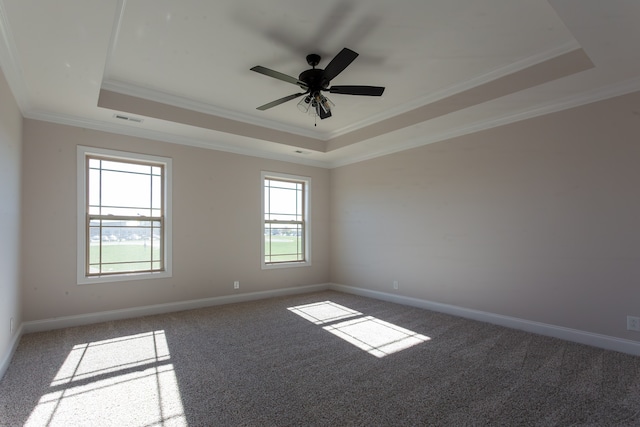 spare room with a tray ceiling, crown molding, plenty of natural light, and carpet