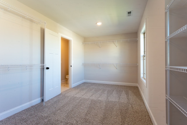 walk in closet with carpet floors