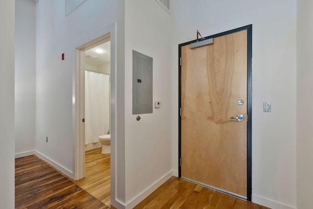 hall featuring electric panel, light wood finished floors, and baseboards