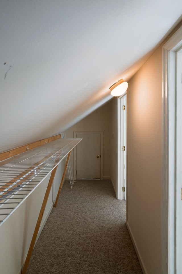 interior space with light colored carpet and lofted ceiling