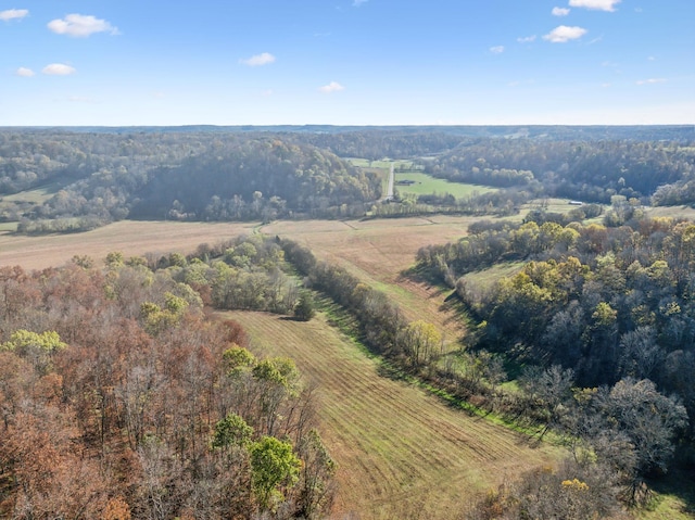 1277 Campbellsville Pike, Lynnville, TN 38472 - photo 68