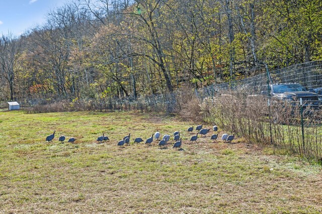 1277 Campbellsville Pike, Lynnville, TN 38472 - photo 44
