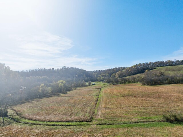 1277 Campbellsville Pike, Lynnville, TN 38472 - photo 64