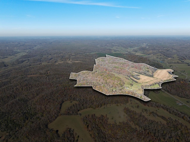 1277 Campbellsville Pike, Lynnville, TN 38472 - photo 8