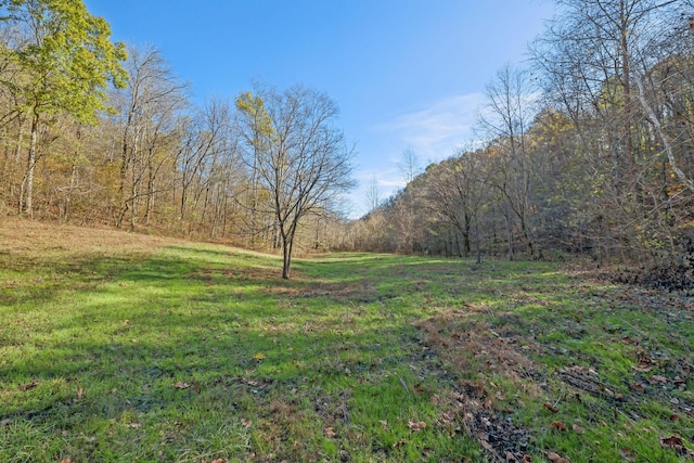 1277 Campbellsville Pike, Lynnville, TN 38472 - photo 56