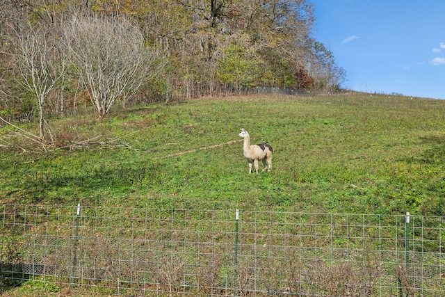 view of yard with a rural view