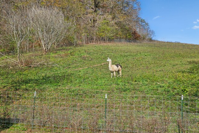 1277 Campbellsville Pike, Lynnville, TN 38472 - photo 42