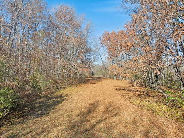 1277 Campbellsville Pike, Lynnville, TN 38472 - photo 65