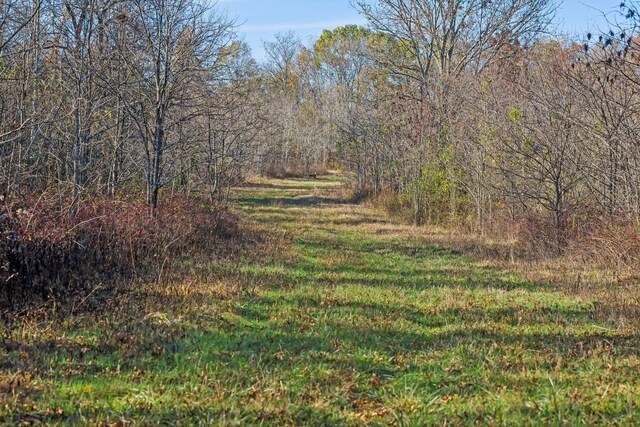 1277 Campbellsville Pike, Lynnville, TN 38472 - photo 57