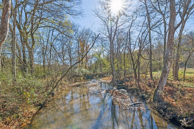 1277 Campbellsville Pike, Lynnville, TN 38472 - photo 47