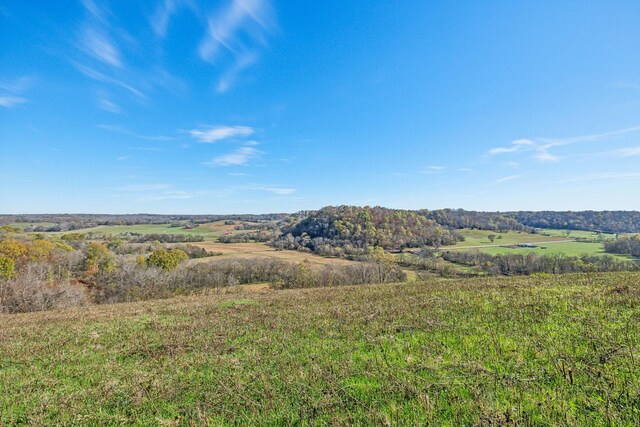 1277 Campbellsville Pike, Lynnville, TN 38472 - photo 51