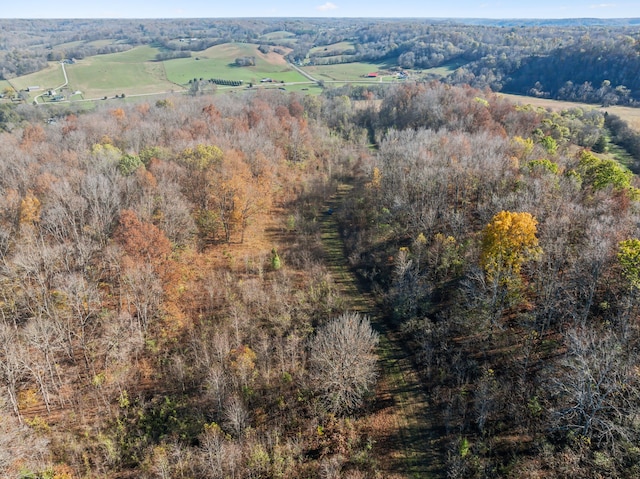 bird's eye view featuring a rural view