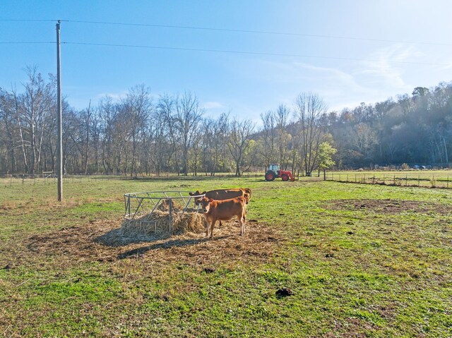 1277 Campbellsville Pike, Lynnville, TN 38472 - photo 69