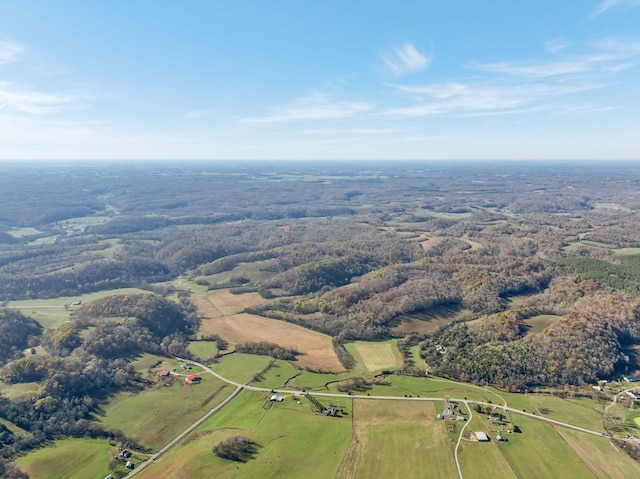 1277 Campbellsville Pike, Lynnville, TN 38472 - photo 60