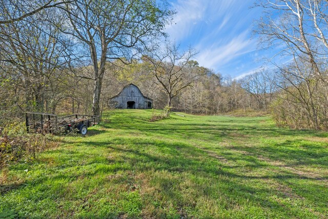 1277 Campbellsville Pike, Lynnville, TN 38472 - photo 34