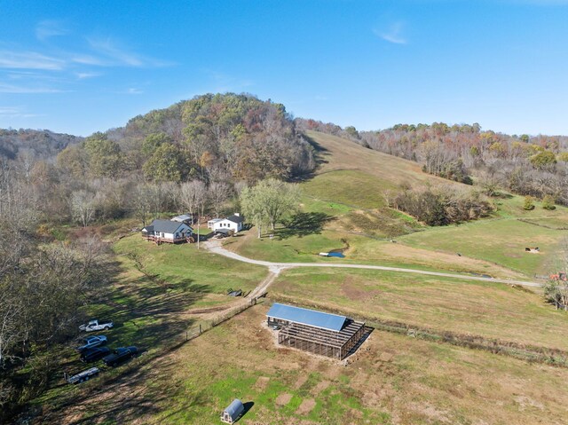 1277 Campbellsville Pike, Lynnville, TN 38472 - photo 3
