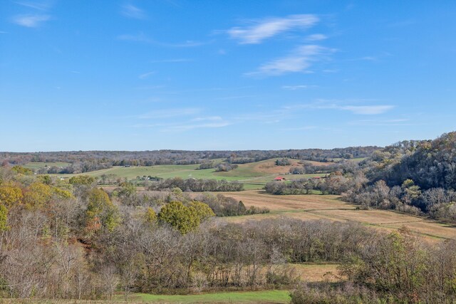 aerial view with a rural view