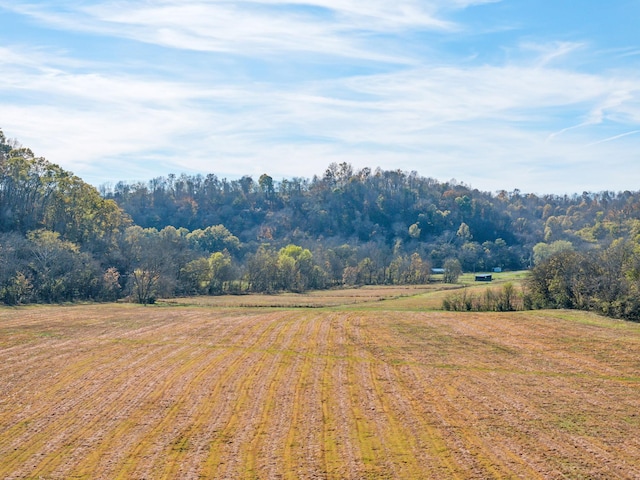 1277 Campbellsville Pike, Lynnville, TN 38472 - photo 62