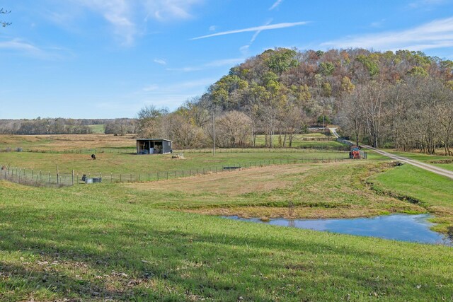 1277 Campbellsville Pike, Lynnville, TN 38472 - photo 5