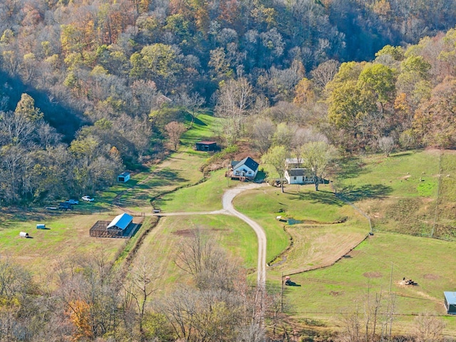 1277 Campbellsville Pike, Lynnville, TN 38472 - photo 1
