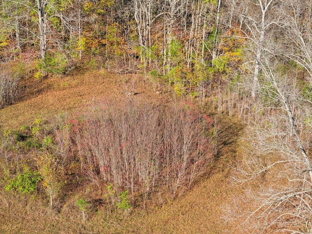 1277 Campbellsville Pike, Lynnville, TN 38472 - photo 66