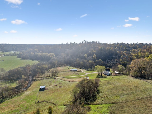1277 Campbellsville Pike, Lynnville, TN 38472 - photo 91
