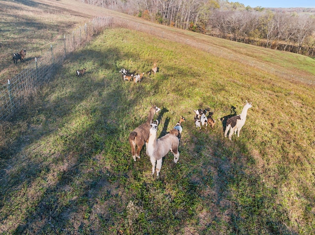 drone / aerial view with a rural view