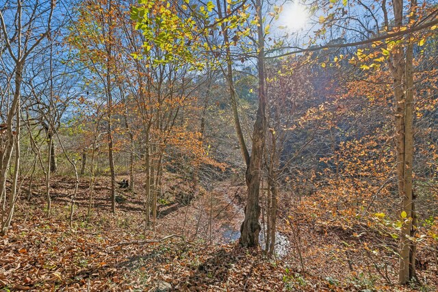 1277 Campbellsville Pike, Lynnville, TN 38472 - photo 54