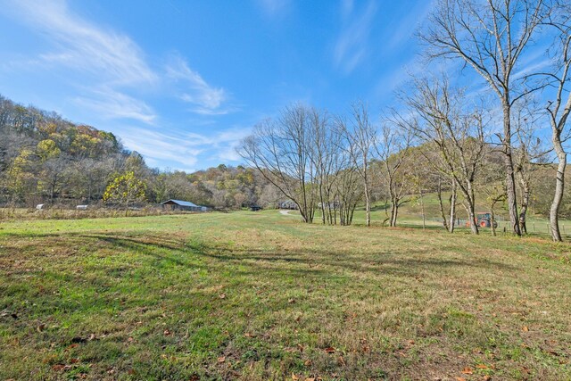1277 Campbellsville Pike, Lynnville, TN 38472 - photo 50