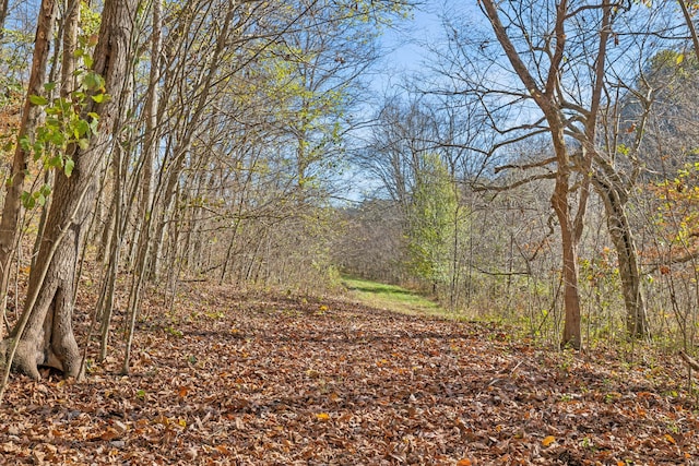 view of landscape