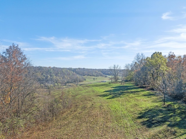 1277 Campbellsville Pike, Lynnville, TN 38472 - photo 63