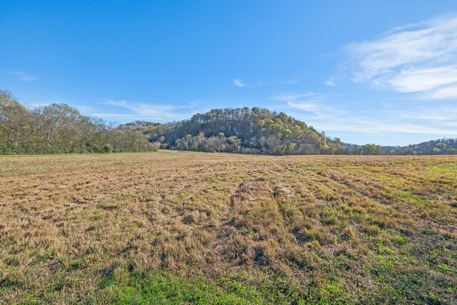 1277 Campbellsville Pike, Lynnville, TN 38472 - photo 53