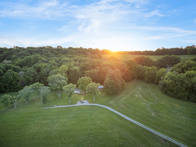 bird's eye view