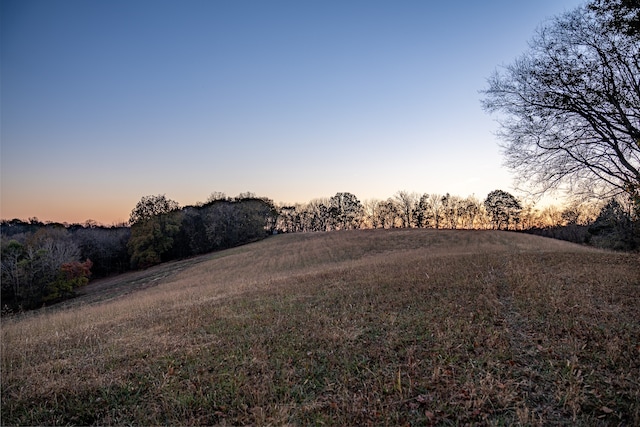 view of yard at dusk