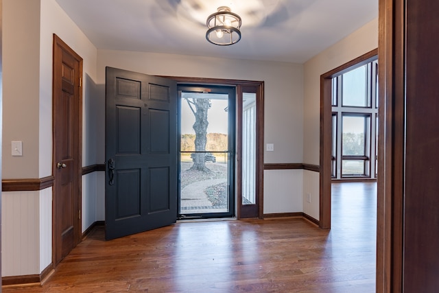 entrance foyer featuring wood-type flooring