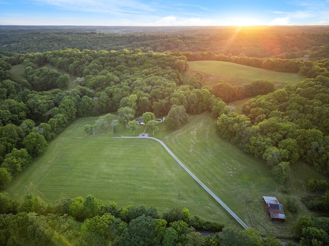 bird's eye view