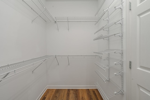 walk in closet with dark wood-type flooring