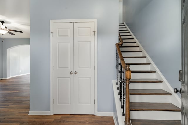 staircase featuring ceiling fan and hardwood / wood-style floors