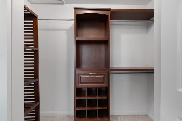 spacious closet featuring carpet floors