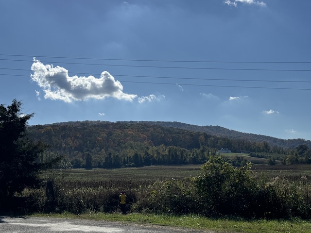 view of mountain feature