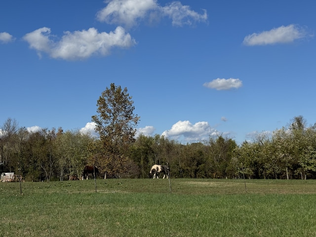 view of yard featuring a rural view