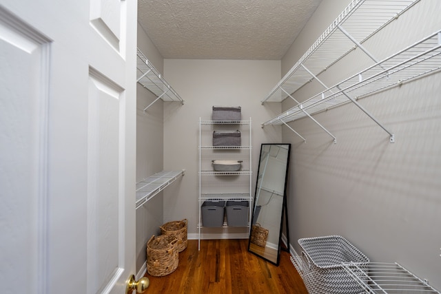 spacious closet with dark wood-type flooring