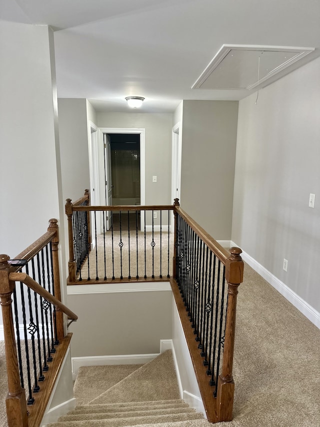 stairs featuring carpet